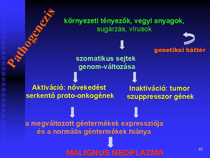 Pa th og en ez is környezeti tényezők, vegyi anyagok, sugárzás, vírusok szomatikus sejtek