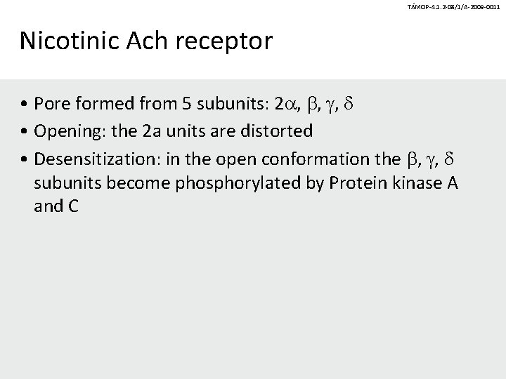 TÁMOP-4. 1. 2 -08/1/A-2009 -0011 Nicotinic Ach receptor • Pore formed from 5 subunits: