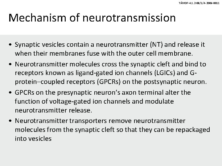 TÁMOP-4. 1. 2 -08/1/A-2009 -0011 Mechanism of neurotransmission • Synaptic vesicles contain a neurotransmitter