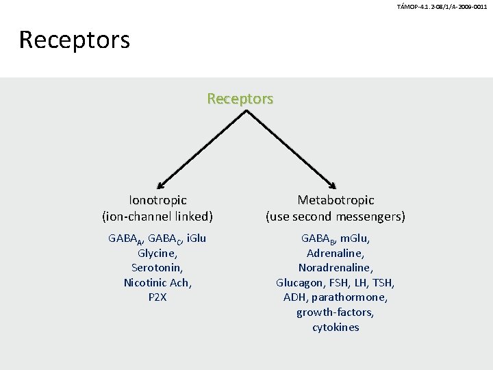 TÁMOP-4. 1. 2 -08/1/A-2009 -0011 Receptors Ionotropic (ion-channel linked) Metabotropic (use second messengers) GABAA,