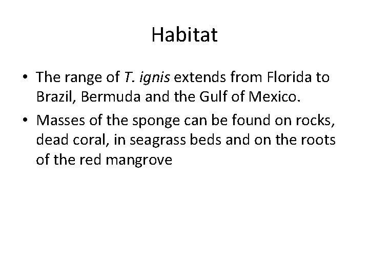 Habitat • The range of T. ignis extends from Florida to Brazil, Bermuda and