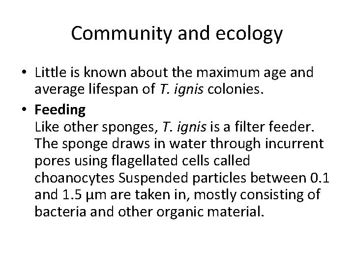Community and ecology • Little is known about the maximum age and average lifespan
