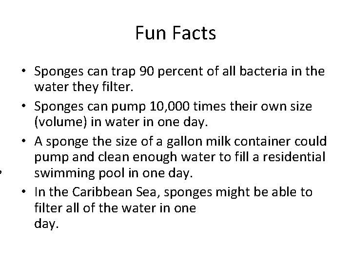 p Fun Facts • Sponges can trap 90 percent of all bacteria in the