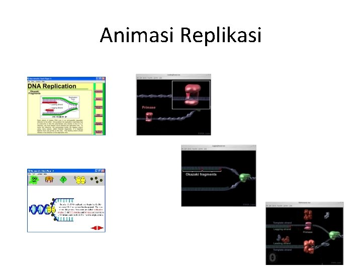 Animasi Replikasi 16 