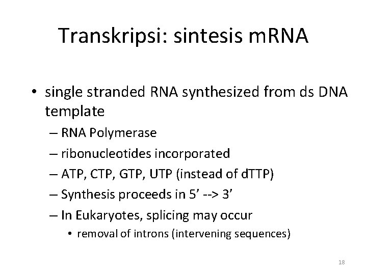 Transkripsi: sintesis m. RNA • single stranded RNA synthesized from ds DNA template –