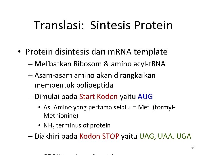 Translasi: Sintesis Protein • Protein disintesis dari m. RNA template – Melibatkan Ribosom &