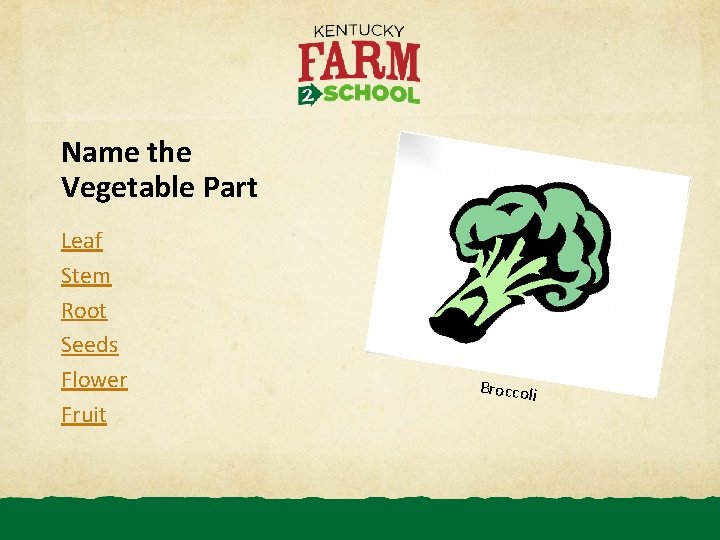 Name the Vegetable Part Leaf Stem Root Seeds Flower Fruit Broccoli 