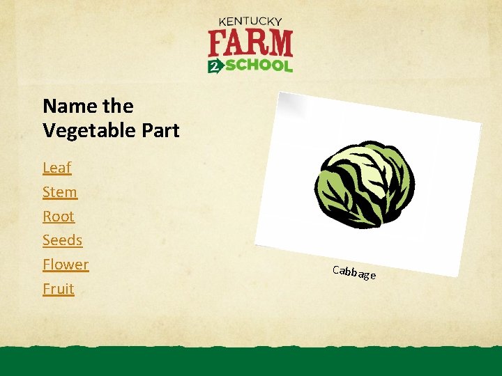 Name the Vegetable Part Leaf Stem Root Seeds Flower Fruit Cabbage 