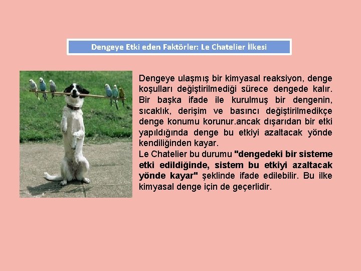 Dengeye Etki eden Faktörler: Le Chatelier İlkesi Dengeye ulaşmış bir kimyasal reaksiyon, denge koşulları