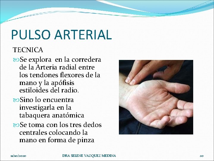 PULSO ARTERIAL TECNICA Se explora en la corredera de la Arteria radial entre los