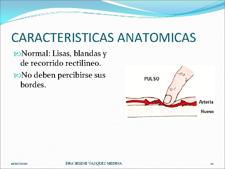 CARACTERISTICAS ANATOMICAS Normal: Lisas, blandas y de recorrido rectilineo. No deben percibirse sus bordes.