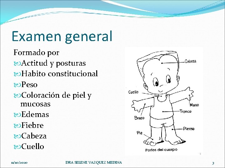 Examen general Formado por Actitud y posturas Habito constitucional Peso Coloración de piel y