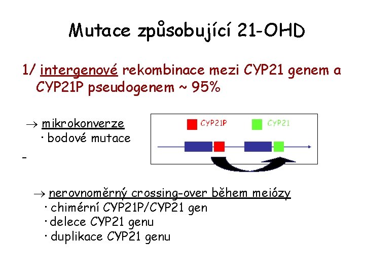 Mutace způsobující 21 -OHD 1/ intergenové rekombinace mezi CYP 21 genem a CYP 21