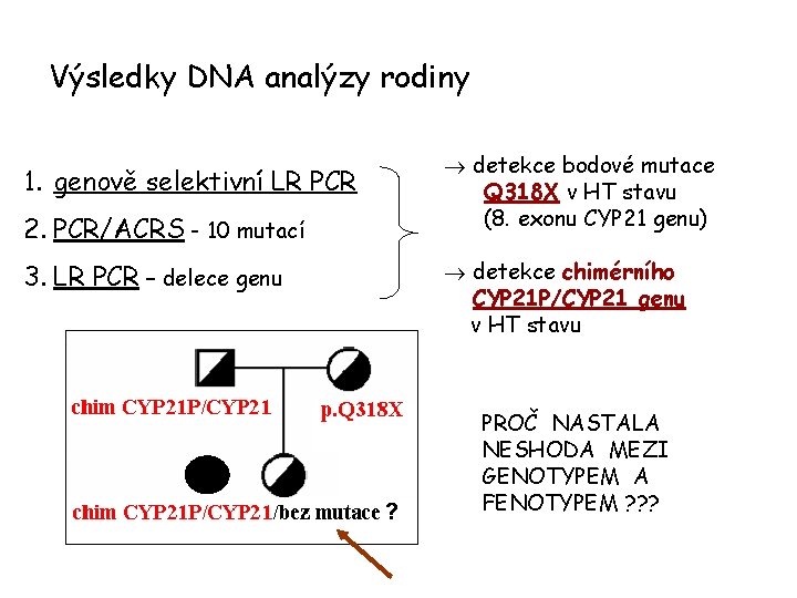 Výsledky DNA analýzy rodiny detekce bodové mutace Q 318 X v HT stavu (8.