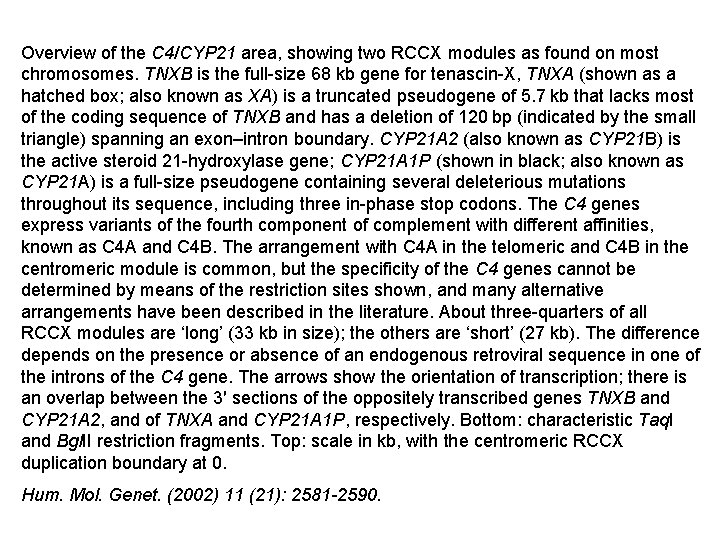 Overview of the C 4/CYP 21 area, showing two RCCX modules as found on