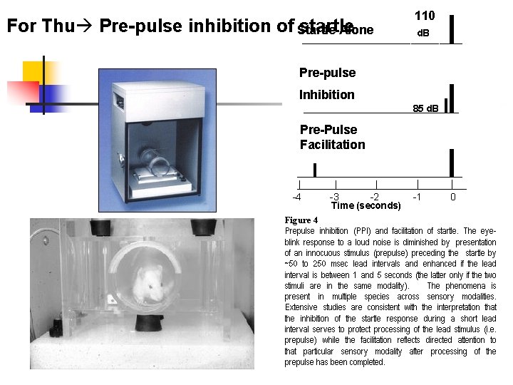 For Thu Pre-pulse inhibition of startle 