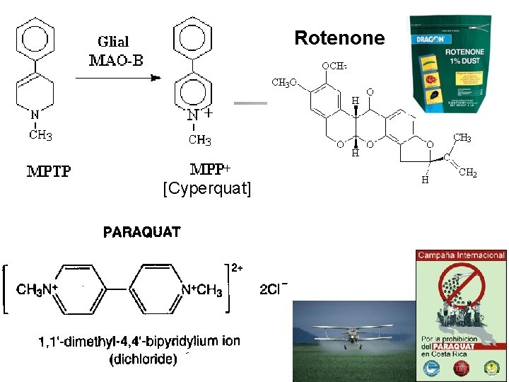 Rotenone [Cyperquat] 