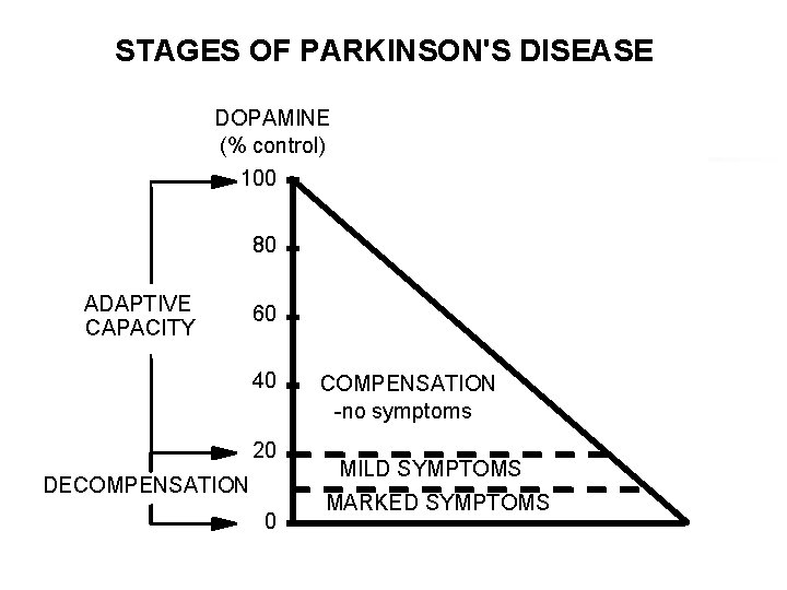 STAGES OF PARKINSON'S DISEASE DOPAMINE (% control) 100 80 ADAPTIVE CAPACITY 60 40 20