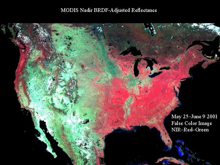 MODIS Nadir BRDF-Adjusted Reflectance May 25–June 9 2001 False Color Image NIR–Red–Green 