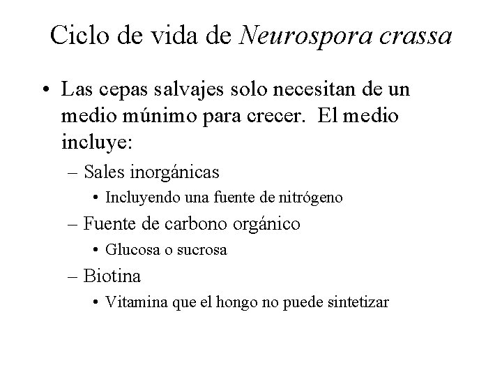 Ciclo de vida de Neurospora crassa • Las cepas salvajes solo necesitan de un
