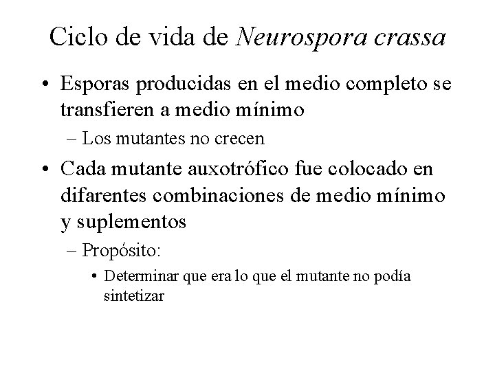 Ciclo de vida de Neurospora crassa • Esporas producidas en el medio completo se
