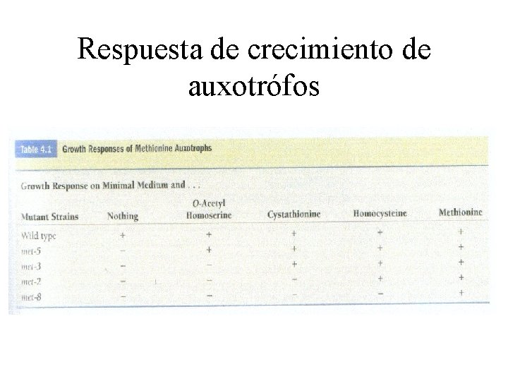 Respuesta de crecimiento de auxotrófos 