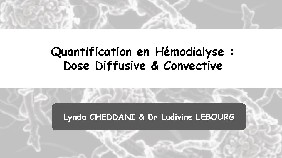 Quantification en Hémodialyse : Dose Diffusive & Convective Lynda CHEDDANI & Dr Ludivine LEBOURG