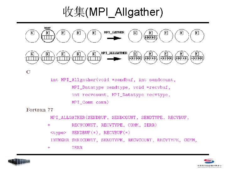 收集(MPI_Allgather) 