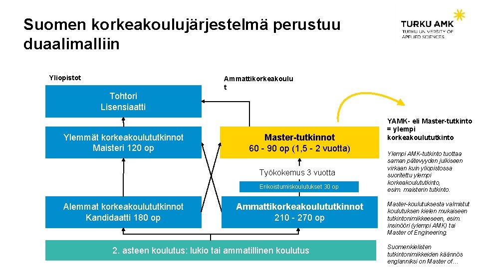 Suomen korkeakoulujärjestelmä perustuu duaalimalliin Yliopistot Ammattikorkeakoulu t Tohtori Lisensiaatti Ylemmät korkeakoulututkinnot Maisteri 120 op