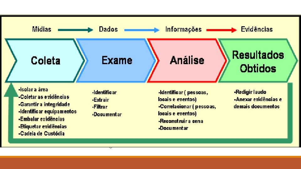 Ciclo 