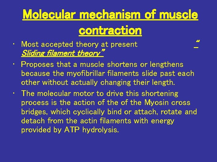 Molecular mechanism of muscle contraction • Most accepted theory at present “ Sliding filament