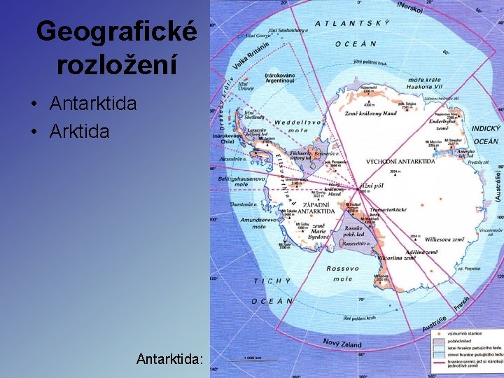 Geografické rozložení • Antarktida • Arktida Antarktida: • Arktida Geografické rozložení • Antarktida • Arktida Antarktida: • Arktida
