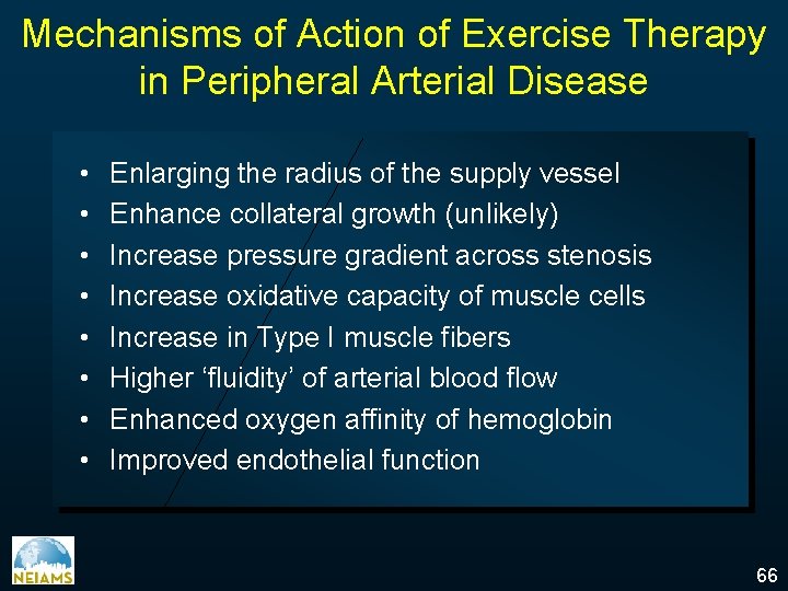 Mechanisms of Action of Exercise Therapy in Peripheral Arterial Disease • • Enlarging the