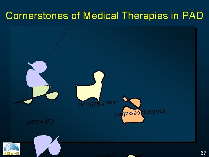 67 Statins Smoking cessation Cilostazol Ace Inhibitors Cornerstones of Medical Therapies in PAD 