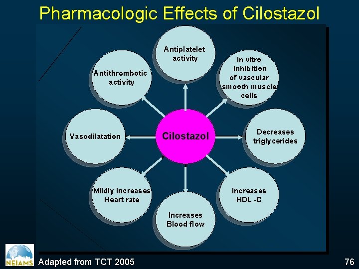 Pharmacologic Effects of Cilostazol Antiplatelet activity Antithrombotic activity Vasodilatation Cilostazol In vitro inhibition of