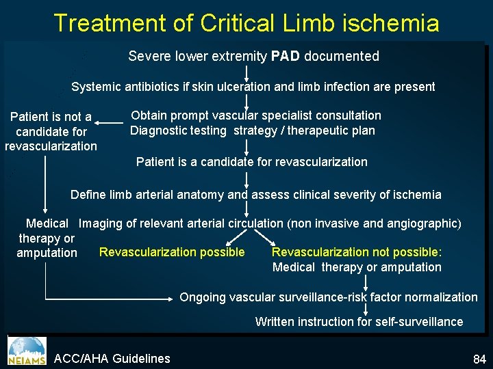 Treatment of Critical Limb ischemia Severe lower extremity PAD documented Systemic antibiotics if skin