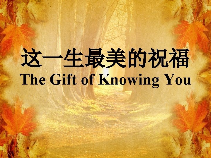 这一生最美的祝福 The Gift of Knowing You 
