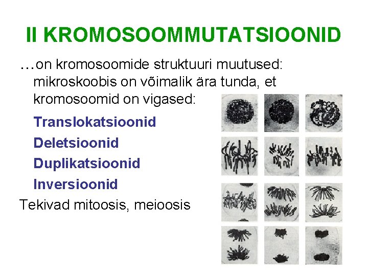 II KROMOSOOMMUTATSIOONID …on kromosoomide struktuuri muutused: mikroskoobis on võimalik ära tunda, et kromosoomid on