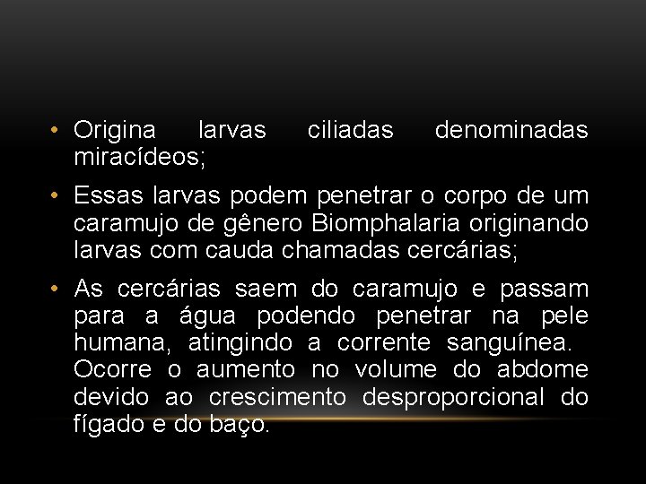  • Origina larvas miracídeos; ciliadas denominadas • Essas larvas podem penetrar o corpo