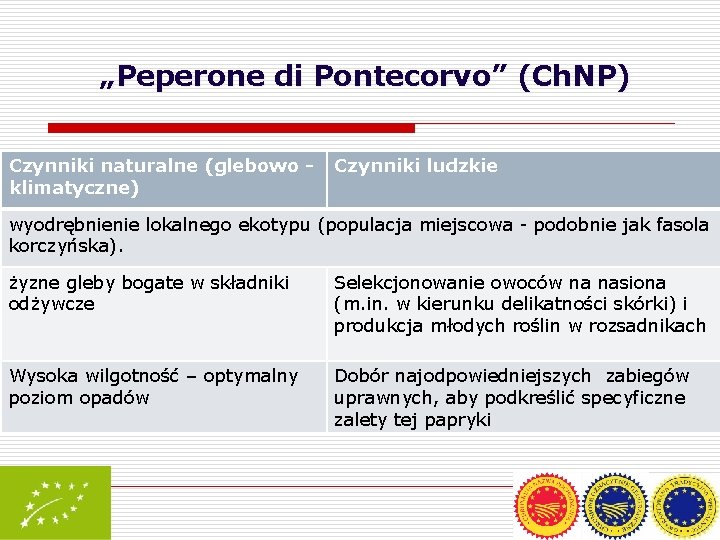 „Peperone di Pontecorvo” (Ch. NP) Czynniki naturalne (glebowo klimatyczne) Czynniki ludzkie wyodrębnienie lokalnego ekotypu