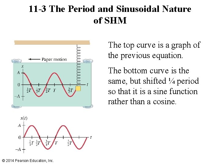 11 -3 The Period and Sinusoidal Nature of SHM The top curve is a