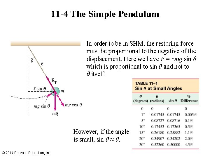 11 -4 The Simple Pendulum In order to be in SHM, the restoring force