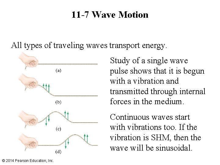 11 -7 Wave Motion All types of traveling waves transport energy. Study of a