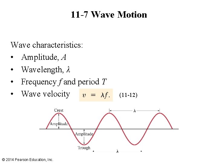 11 -7 Wave Motion Wave characteristics: • Amplitude, A • Wavelength, λ • Frequency