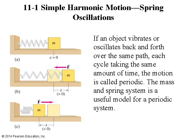 11 -1 Simple Harmonic Motion—Spring Oscillations If an object vibrates or oscillates back and
