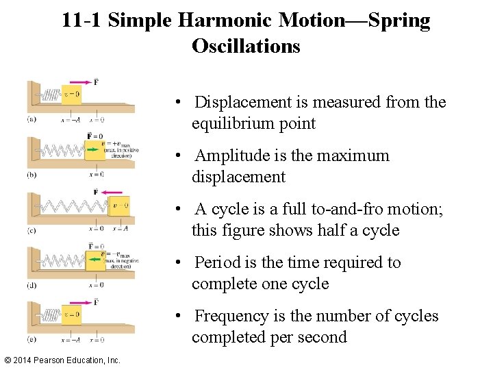 11 -1 Simple Harmonic Motion—Spring Oscillations • Displacement is measured from the equilibrium point