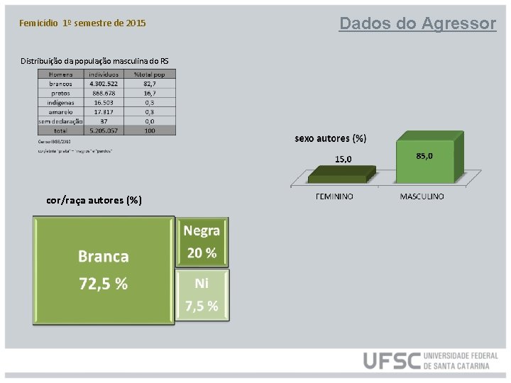 Femicídio 1º semestre de 2015 Distribuição da população masculina do RS cor/raça autores (%)