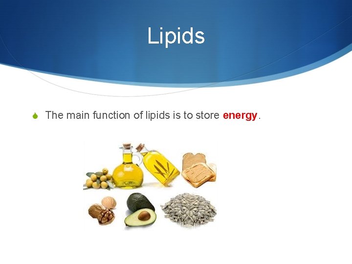 Lipids S The main function of lipids is to store energy. 
