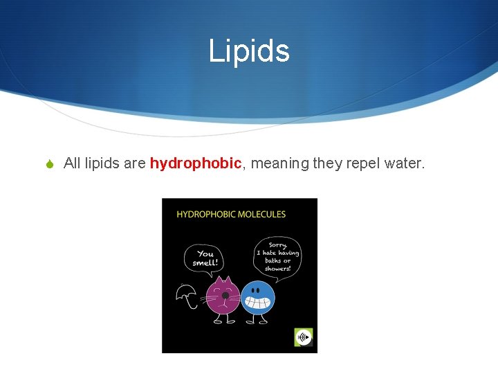 Lipids S All lipids are hydrophobic, meaning they repel water. 