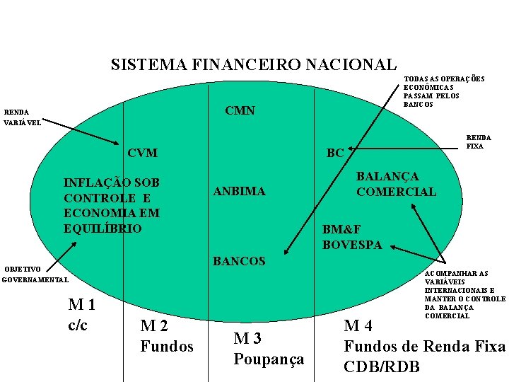 SISTEMA FINANCEIRO NACIONAL RENDA TODAS AS OPERAÇÕES ECONÔMICAS PASSAM PELOS BANCOS CMN VARIÁVEL BC